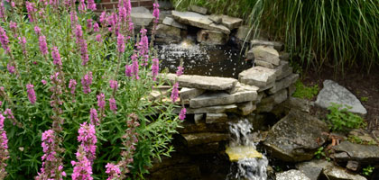 Exterior-Waterfall_outdoor_garden